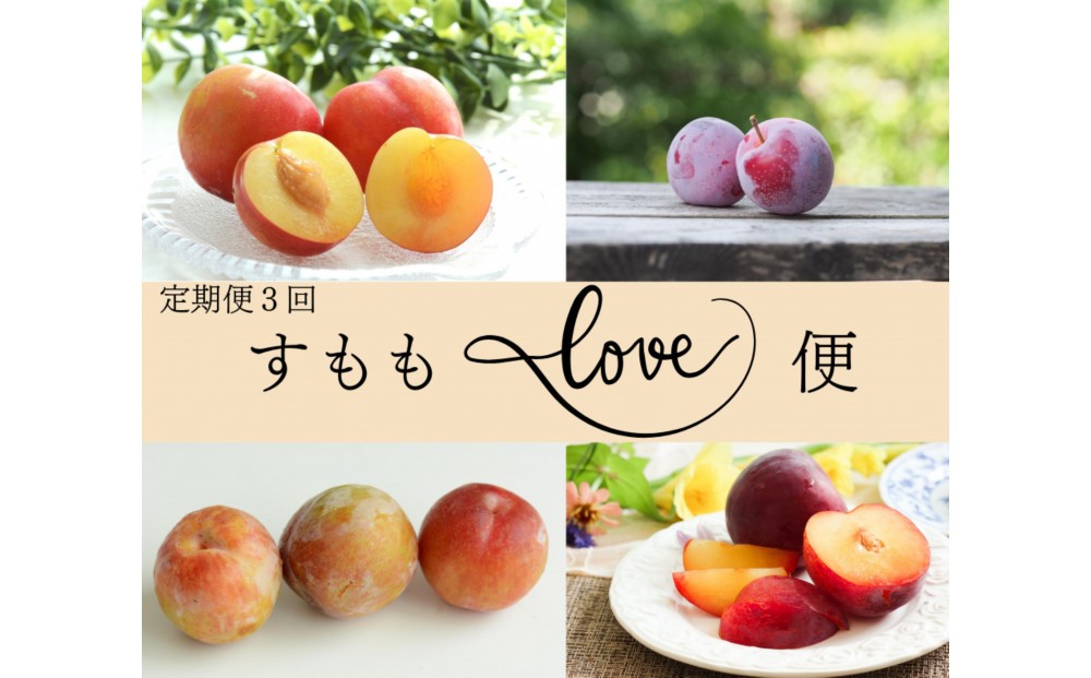 
            2026年度発送 【定期便3回】 すもも☆LOVE便
          