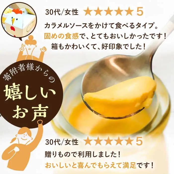 【全3回定期便】【卵が濃い！】たまごやさんのぷるプリン (濃厚仕立て) 6個入/回【ぷるたま工房】[QBB002]
