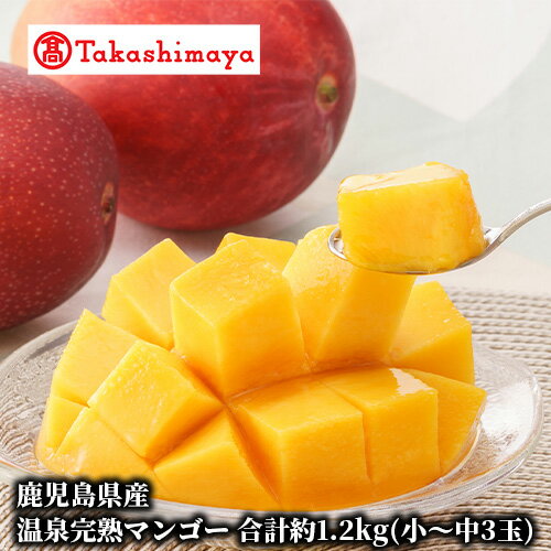 【ふるさと納税】＜高島屋選定品＞鹿児島県産温泉完熟マンゴー合計約1.2kg(小～中玉3玉)白箱入り【2026年7～8月頃発送】【高島屋】