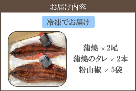 訳アリ！うなぎ蒲焼2尾セット国産 特大 うなぎ 鰻 ウナギ 蒲焼 有頭 訳あり お取り寄せ 冷凍【B-186】