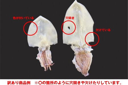 【訳アリ】白いか一夜干し　（１５０ｇ～２５０ｇｘ４～５枚）訳アリ 小分け いか 白いか 個包装 一夜干し 産地直送 おつまみ 【1962】