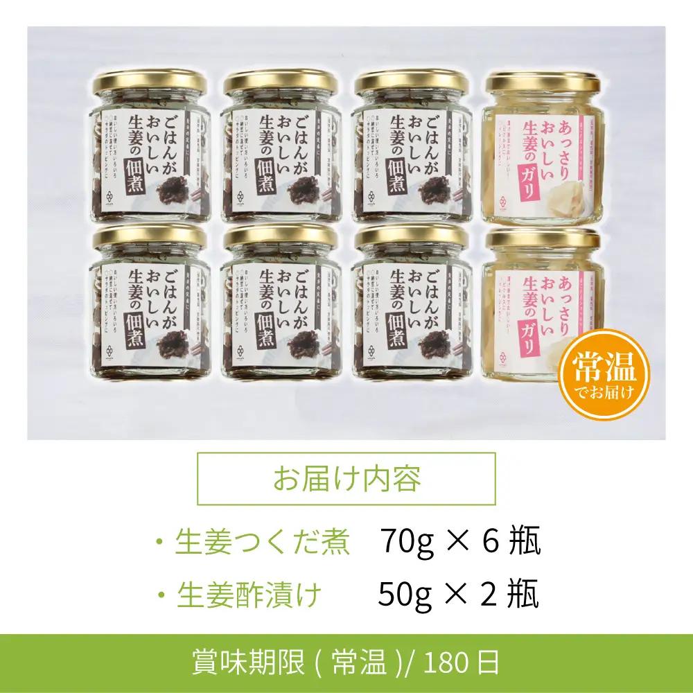 【健康習慣】生姜の佃煮・生姜酢漬け 2種 計8個 佃煮 つくだ煮 セット 珍味 惣菜 生姜 しょうが 鹿児島 エスランドル 南さつま市