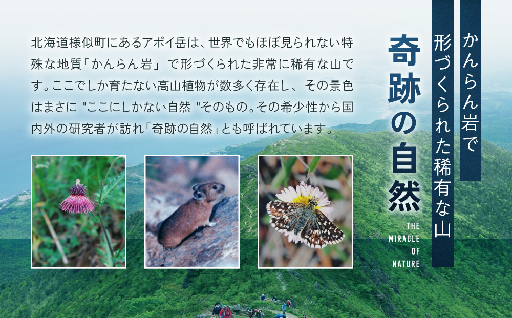【返礼品なし】アポイ岳ファンクラブ自然保全活動応援　300,000円