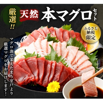 厳選 天然 本マグロ 中トロ 赤身 セット６００ｇ 以上 まぐろ 鮪 100% 冷凍 刺身 海鮮 丼 室戸