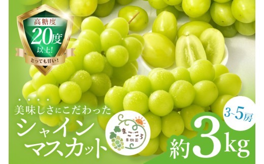 
                  【2026年9月中旬より順次発送】令和7年度 茨城県生産力向上共励会 特別賞受賞！糖度約20～22度！美味しさにこだわったシャインマスカット（約3000g）3～5房   化学肥料不使用 農家直送【葡萄 ぶどう マスカット フルーツ 果物 くだもの 水戸市 水戸 茨城県】（GG-26）
                