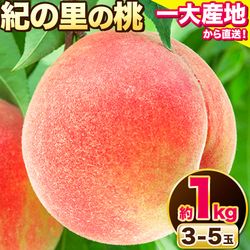 桃 もも【2026年先行予約】和歌山県産 紀の里の桃 約1kg (3-5玉入り)《2026年6月中旬-8月中旬頃出荷》 桃 2026年 先行 桃 先行予約2026 もも2026 白鳳 日川白鳳 八旗白鳳 清水白桃 川中島白桃 つきあかり もも 白鳳 先行予約 もも川中島 もも2026 もも 白鳳 先行予約 もも 先行予約 もも 和歌山 もも
