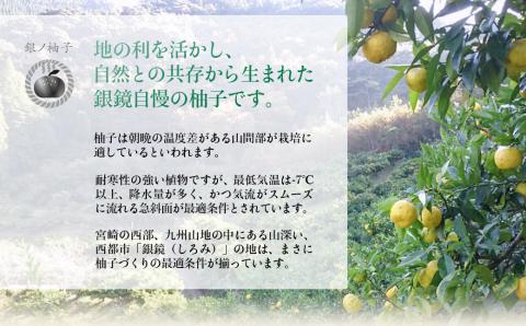 （Ｄ）「銀の柚子」生ゆずまるごと搾りセット　果汁100％<2.4-5>柚子 ゆず 柑橘系 調味料 生搾り 宮崎県西都市