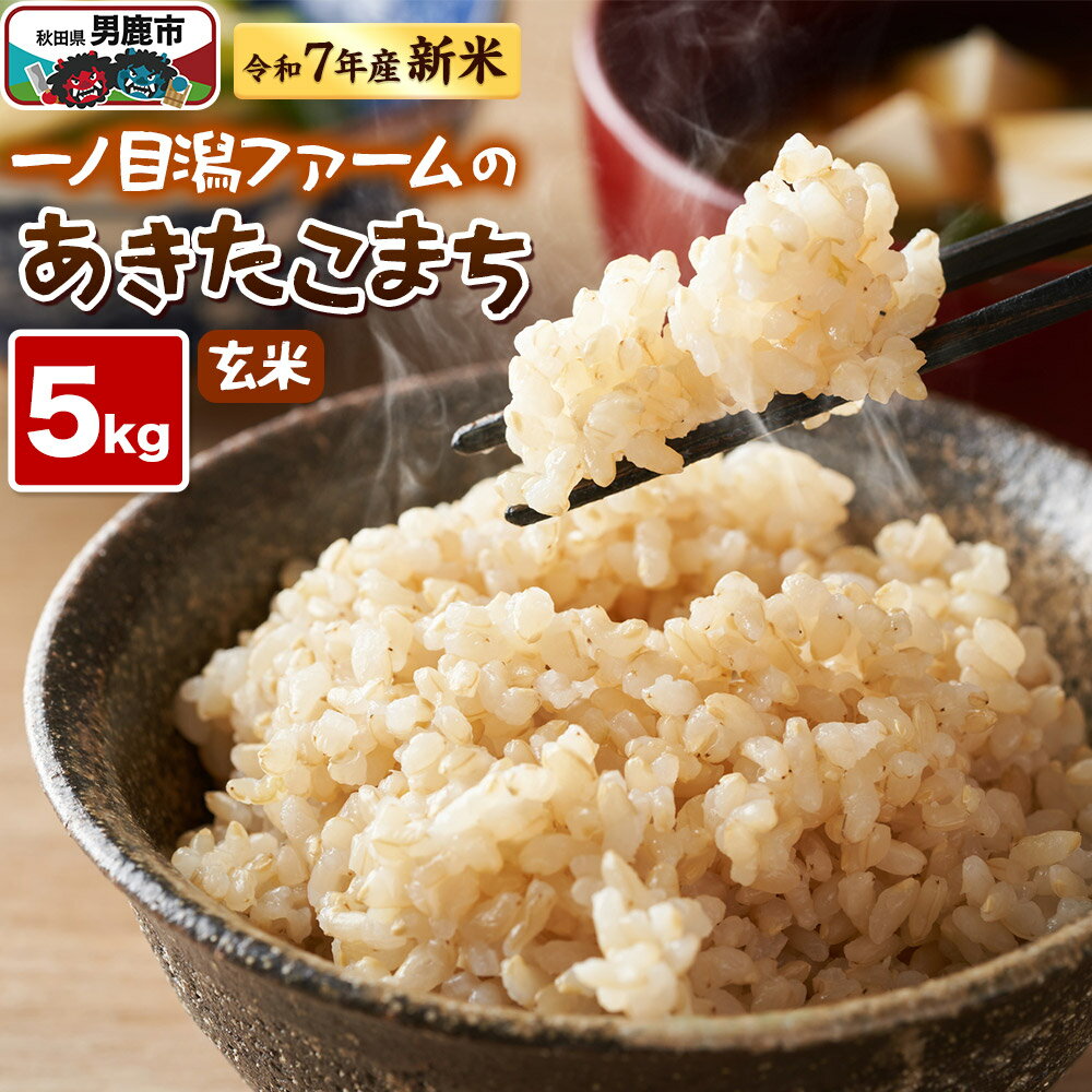 【ふるさと納税】＜令和7年産新米受付＞「秋田県男鹿市北浦産」あきたこまち（玄米）5kg