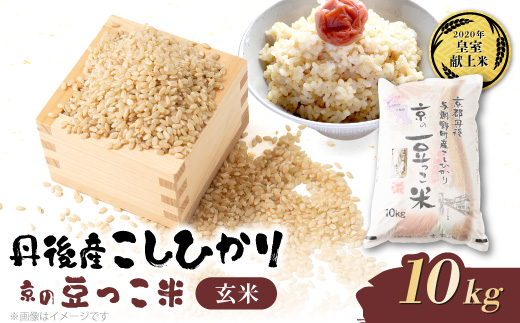【先行受付】令和8年新米　数量限定　京都与謝野町産コシヒカリ「京の豆っこ米」玄米10kg×1袋