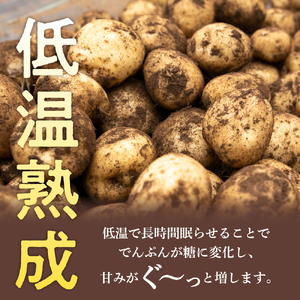 【先行受付】【2025年2月より順次発送】北海道十勝芽室町 雪室熟成越冬インカのめざめ5kg ジャガイモ じゃがいも 野菜 me001-005c