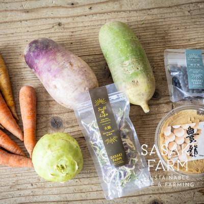 ふるさと納税 洞爺湖町 佐々木ファームよりお届けする旬の野菜詰め合わせ　〜ありがとうBOX 2025・小〜