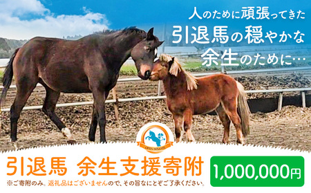 【返礼品なし】引退馬余生支援寄附 1,000,000円 一般社団法人オープンセサミアライブ 熊本県 南阿蘇村 馬 ウマ 支援 競走馬 引退馬 生活支援 動物愛護 保護 返礼品なし 寄附 牧場 オープンセサミ アニマルサンクチュアリ