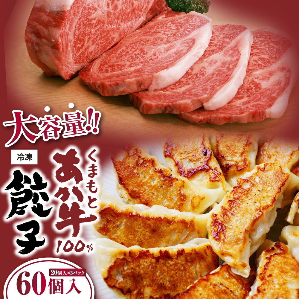 【ふるさと納税】熊本県産 くまもとあか牛 100％ 餃子 60個 20個×3 ギョウザ ぎょうざ GI認証 あか牛 赤牛 ジューシー 野菜 牛肉 牛 肉 中華 惣菜 お肉 牛肉 冷凍 国産 熊本県 九州 送料無料