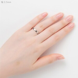 純チタン平打リング(幅2.5mm)13号【1643721】