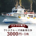 【ふるさと納税】ゴジラ岩観光【ウトロ港発着クルーズ乗船代金3000円割引券】【配送不可地域：離島・沖縄県】【1214314】