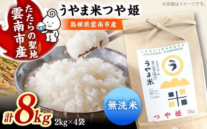
            お米【無洗米】神話の里/吉田町「うやま米」つや姫 8kg（2kg×4）無洗米 精米 コメ おこめ お米 つやひめ おすすめ 人気 米 ごはん ご飯 食卓 主食 ブランド米 お取り寄せ グルメ ご当地米 家族 ファミリー 一人暮らし 便利 8キロ おいしい ごはんソムリエ 種もみ ミネラル 国産 新生活 お弁当 朝ごはん 朝食 昼食 ご当地 島根県雲南市/有限会社藤本米穀店 [AIDB093]
          