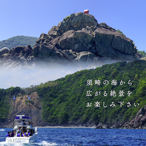 【貸切】プライベート クルージング プラン 1～10名 貸切 スイーツ付き 横浪半島 絶景 体験  記念 チャーター クルーズ 海 リフレッシュ マリンスポーツ 高知 須崎市 YMR001