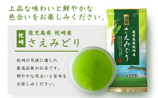 煎茶【さえみどり】＆かつお最中 詰め合わせ 枕崎茶 かごしま茶 高級品種 和菓子 A3−292【1166699】