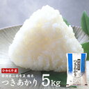 【ふるさと納税】つきあかり 5kg 新潟県三条市産米 令和6年産 精米 白米 米 お米 [外山敏雄商店]【010S395】