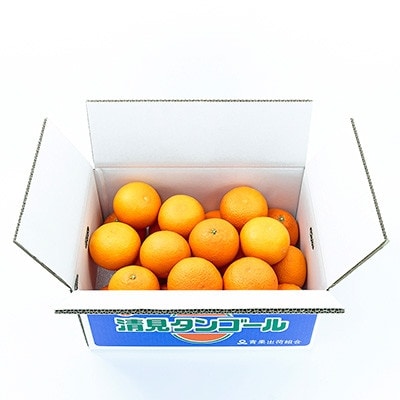 【まるで食べるジュース!越冬完熟品】愛媛産 清見オレンジ 5kg【D20−38】【1594848】