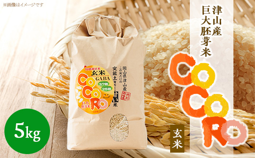 
                  ＜突鉱土育ち＞巨大胚芽米CoCoRo 5kg_ 米 ふるさと納税 5kg 巨大胚芽米 健康米 食物繊維 栄養価 こめ コメ お米 おこめ ご飯 ごはん 胚芽米 玄米 国産 産直 産地直送 岡山県 津山市 送料無料 【1361992】
                