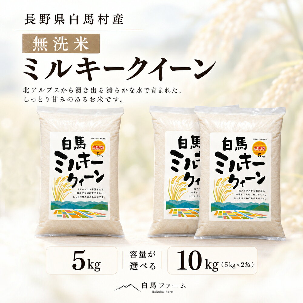 【ふるさと納税】無洗米 ミルキークイーン 米 【選べる 5kg・10kg（5kg×2袋）】長野県白馬村産 白馬ファーム 北アルプス 姫川源流水 もちもち 甘み 冷めてもおいしい お弁当 おにぎり お米 白米 国産米