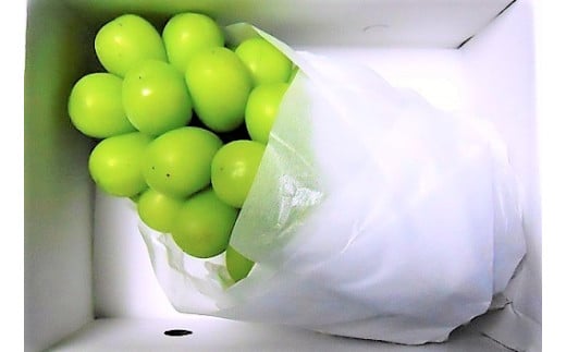 ぶどう（シャインマスカット）７００ｇ　１房　0017-2511