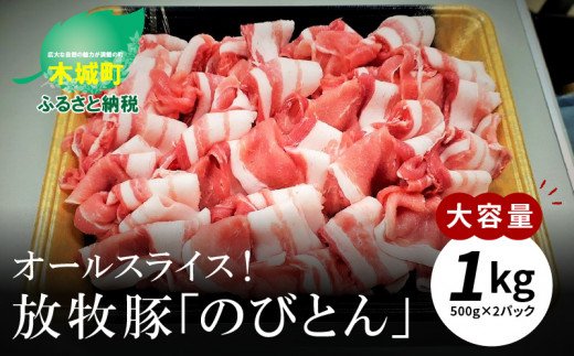 放牧豚「のびとん」スライスセット 500g×2パック _K25_0007_3