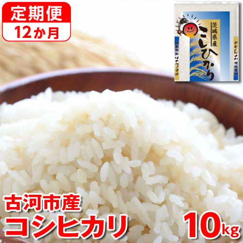 【定期便 12か月】【新米】令和6年産 古河市産コシヒカリ 10kg（5kg×2袋）◇｜米 コメ こめ ごはん ご飯 ゴハン 白飯 単一米 国産 コシヒカリ こしひかり 10kg 定期便 12ヶ月 12回 1年 茨城県 古河市_DP45