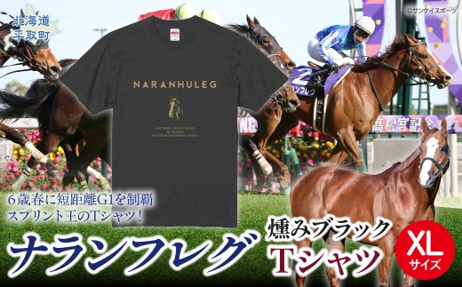 【ナランフレグ】（燻みブラック）Ｔシャツ 選べる３サイズ【XL】 【ふるさと納税 人気 おすすめ ランキング 馬 競馬 競走馬 引退馬 ナランフレグ Tシャツ シャツ 服 生活 日高 北海道 平取町 びらとり 送料無料】 BRTV350-3