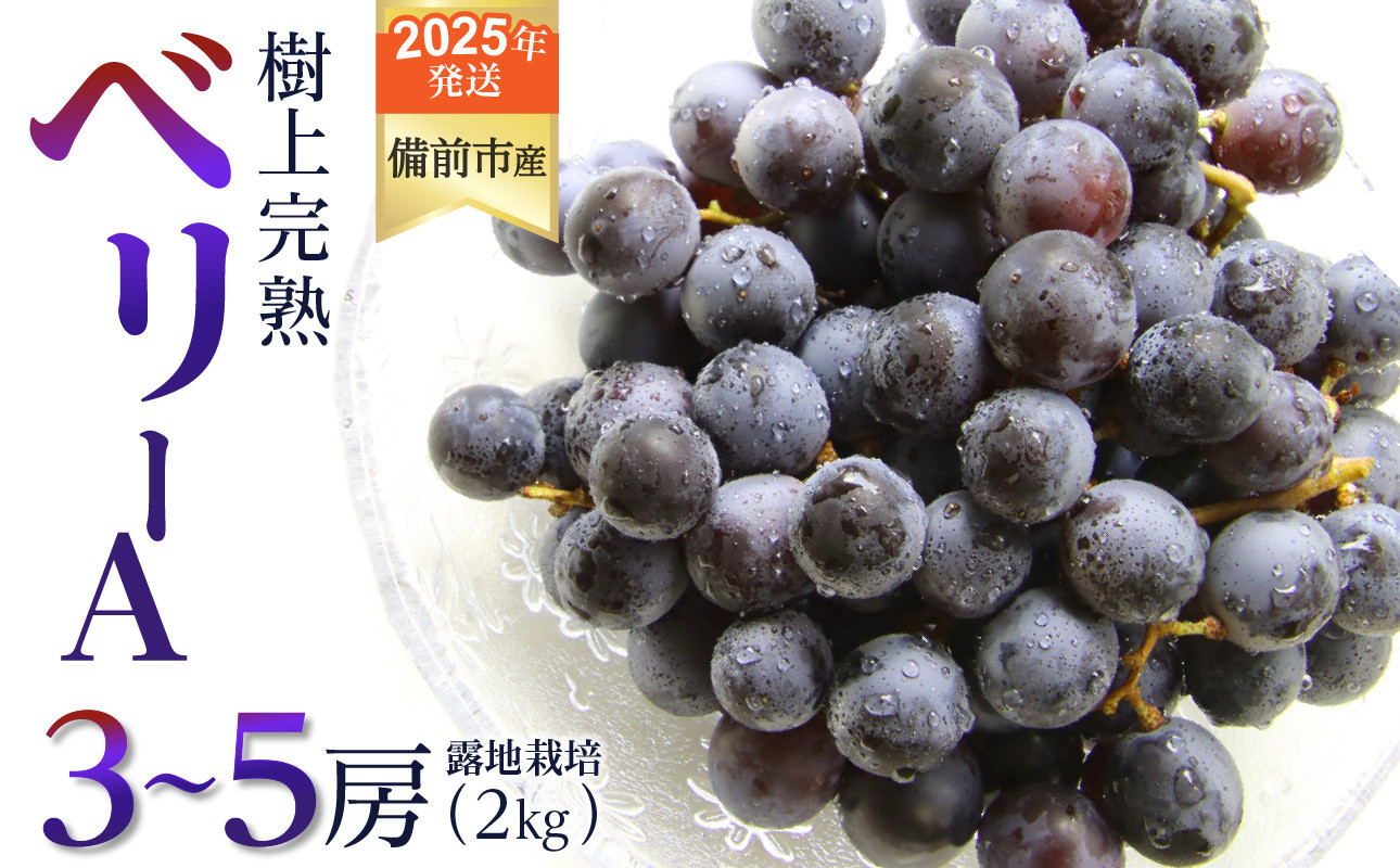 
            【2025年発送】びぜん葡萄「ベリーＡ」（露地栽培）約2kg 【 岡山県備前市産 ベリーＡ 露地栽培 約2kg 3～5房目安 樹上完熟  】
          