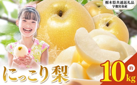 【2026年先行予約】栃木県産 梨 にっこり 10kg | ニッコリ なし ナシ 完熟 果物 フルーツ プレゼント ご褒美 お取り寄せ 贈答 おいしい ジューシー 数量 限定 栃木県産 栃木県 真岡市 減農薬 送料無料 【栃木県共通返礼品 宇都宮市産】