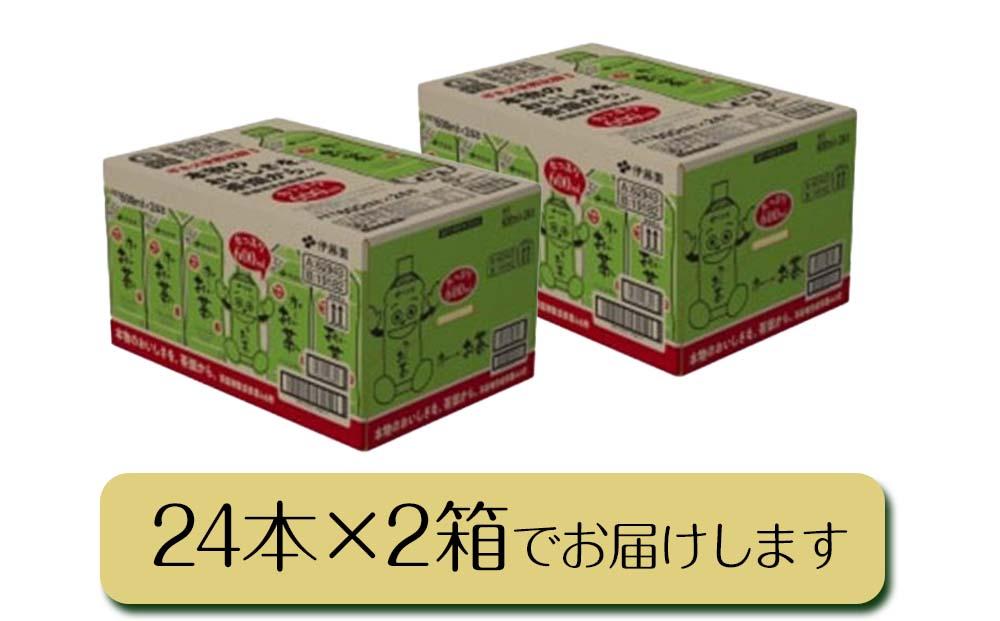 お～いお茶　緑茶600ml　48本セット
