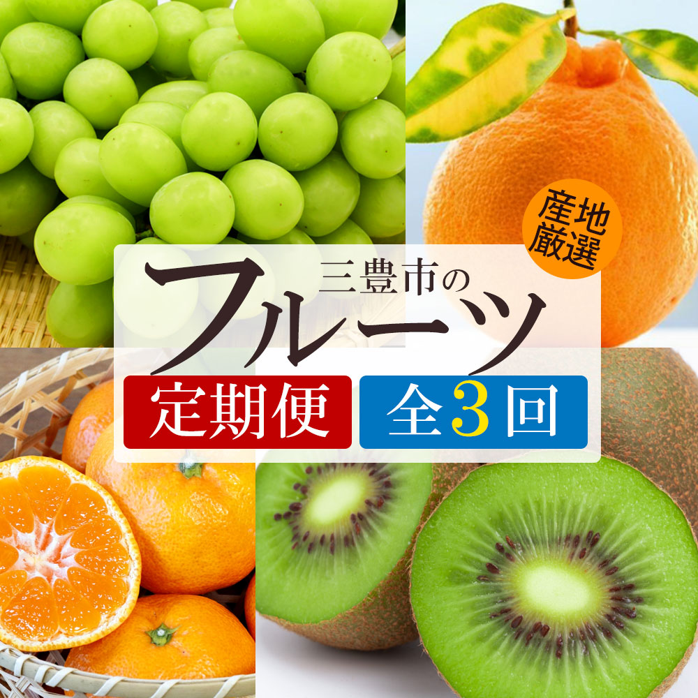 M64-0126_【ふるさと納税】 フルーツ 定期便 3回 シャインマスカットと デコポン・旬のフルーツ便 [ マスカット 柑橘 果物 果実 デザート スイーツ 送料無料 30 台 返礼品 人気 マミィギフト ]【配送不可地域：北海道・沖縄・離島】