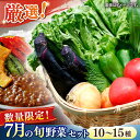 【ふるさと納税】【数量限定】厳選！旬を味わう高槻野菜おまかせ詰め合わせセット 7月（10種〜15種）　大阪府高槻市/高槻あぐり[AOCS013][AOCS013]