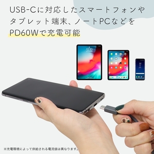 MOTTERU(モッテル) しなやかでやわらかい シリコンケーブル USB Type-C to Type-C 2m ２年保証（MOT-SCBCCG200）ラテグレージュ