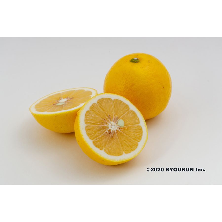 宮崎県産　恋する日向夏（3kg：段ボール入り）