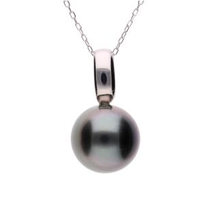 【響】一粒 クロチョウパール プラチナ ペンダント｜無調色 黒蝶真珠（タヒチアンパール） 10mm PT900