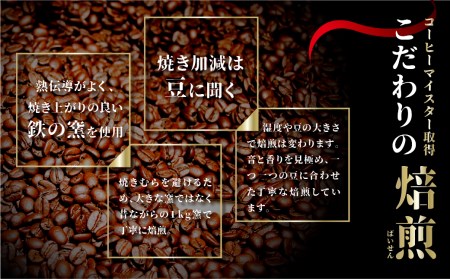 【定期便】珈琲豆 おまかせ 全12種類ピーベリーを楽しめる 毎月2種100gずつ×6回 コーヒー豆[Q2815]