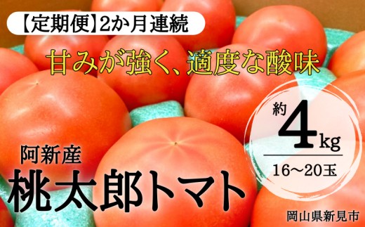 
                  【定期便2か月】阿新産桃太郎トマト 1箱 約4kg 16～20玉 2か月連続お届け 【2026年7～9月限定】
                