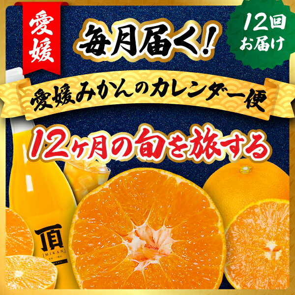 【ふるさと納税】【発送月固定定期便】毎月届く!みかんのカレンダー便　〜12ヶ月の旬を旅する〜【H31-62】全12回_【配送不可地域：離島】【4074244】 YWTAC051