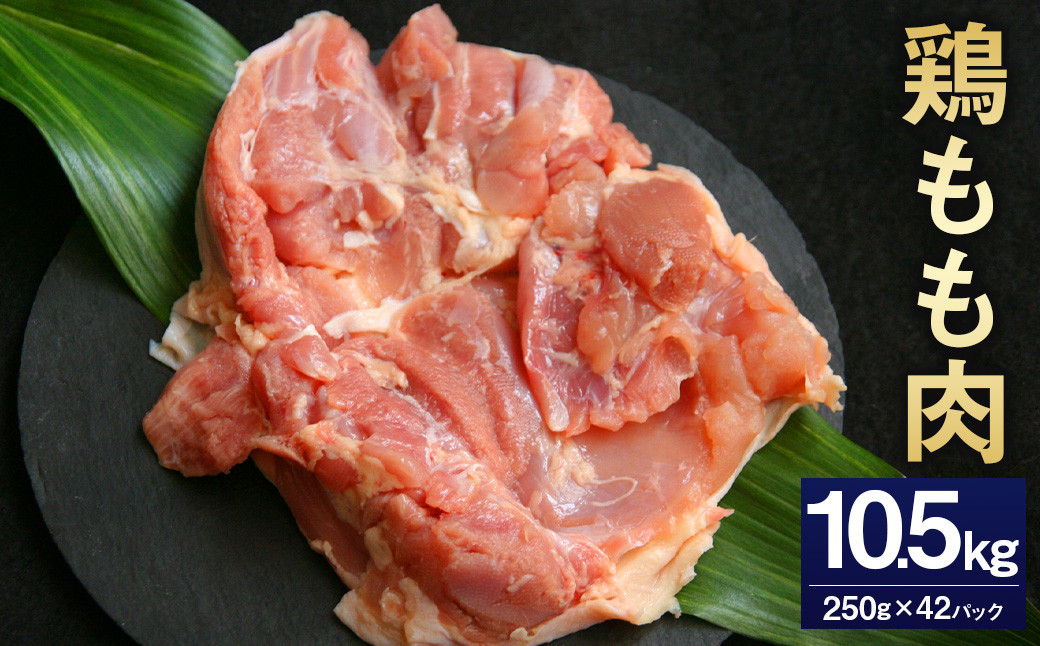 
            ＜鶏もも肉 250g×42パック 計10.5kg＞翌月末迄に順次出荷  鶏肉 お肉 モモ肉 小分けパック 冷凍
          