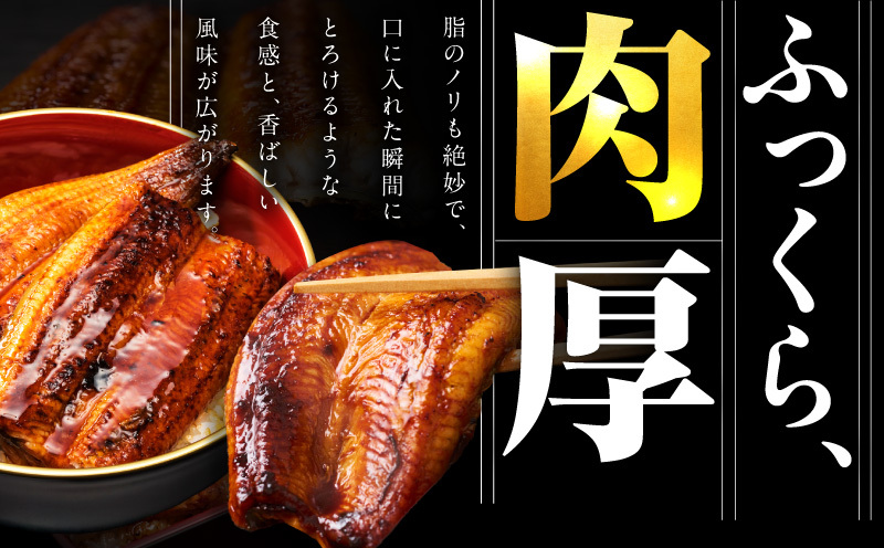 【規格外】うなぎ 暴れ盛り 250g（2カット）【お試し 鰻 かば焼き 簡単調理 訳あり サイズ不揃い 人気 惣菜 うな重 うな丼 ひつまぶし】 G3973_イメージ2