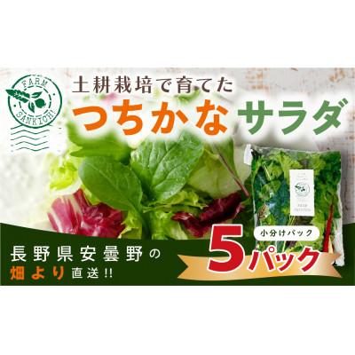 ふるさと納税 長野県 【農家直送便】サラダ野菜のおまかせ詰め合わせ　5パック(1パックに10〜15品種)