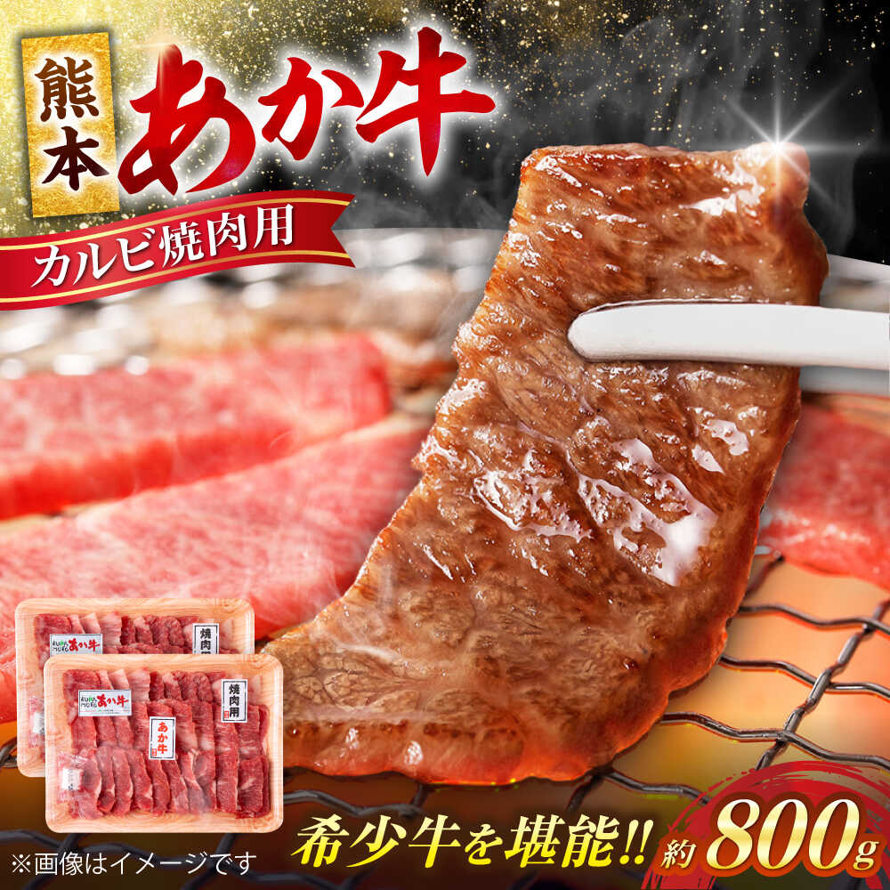 【ふるさと納税】熊本 赤牛 カルビ 焼肉用 約800g【合同会社 たべたせいか】[AYCB032]