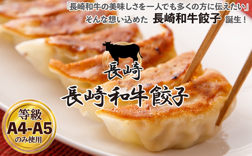 
            E497 長崎和牛餃子(A4等級以上)  (14個入×5パック)
          