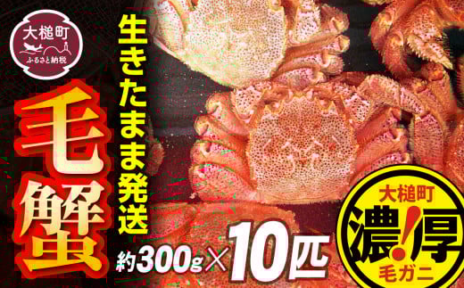 【令和8年発送先行予約】三陸産！活毛ガニセット 300g×10杯【08】【2026年2月～4月発送】