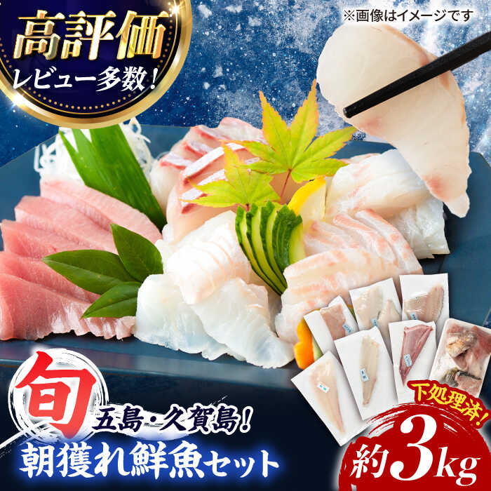 【ふるさと納税】【五島列島産】高級朝獲れ鮮魚 約3kg（真空パック/下処理済） 五島市/マルセイ水産[PBT001] 魚 詰め合わせ 刺身 五島 久賀島 海鮮 セット 旬 さかな さしみ