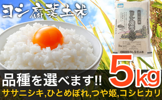 【新米予約】令和6年産 ヨシ腐葉土米 特別栽培米 コシヒカリ 節減対象農薬：栽培期間不使用（精米5kg）