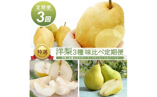 ≪3回定期便≫ 特選 庄内産 洋梨3種 味比べ定期便2026 10月中旬～10月下旬 品種おまかせ 11月上旬～12月上旬 ラ・フランス 11月下旬～12月中旬 シルバーベル 各約3kg 計3回 山形県庄内産 2026年 ナシ 西洋梨 食べ比べ 秋 旬 フルーツ ラフランス 小林青果店　SE0510